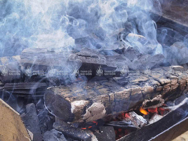 Ngộ độc khí Carbon Monoxide (CO)