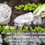 Mẹo tái sử dụng tro than củi ứng dụng trong làm vườn, làm phân, khử mùi 