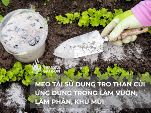 Mẹo tái sử dụng tro than củi ứng dụng trong làm vườn, làm phân, khử mùi 