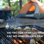 Vai Trò Của Than Củi Trong Các Mô Hình Du Lịch Cắm Trại