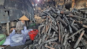 Đốt củi để làm than