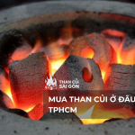 Mua than củi ở đâu tại tphcm